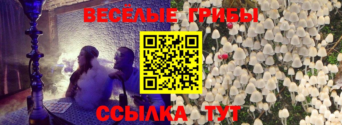 Лениногорск  Псилоцибиновые грибы Psilocybine cubensis  где продают наркотики  Вход с VPN 