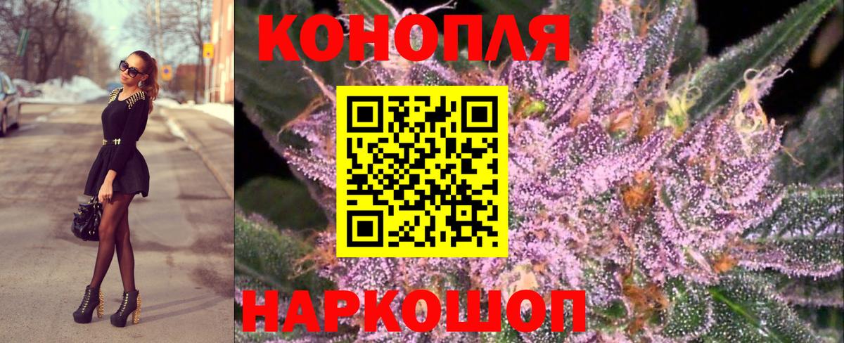 МАРИХУАНА сатива Лениногорск